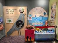 대한민국 충청남도 서천군 조류 생태 전시관 입니다.