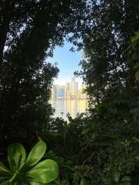 Awesome Autumn in the Oasis - a story between greens and the granite