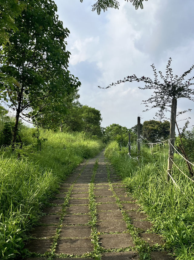 峇里島當地著名景點推薦：Campuhan Ridge Walk，適合拍照打卡親子遊。
