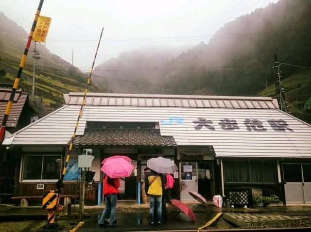 日本三大秘境「大步危」賞櫻，四國隱世的山中車站