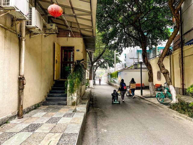 玉林西路...청두