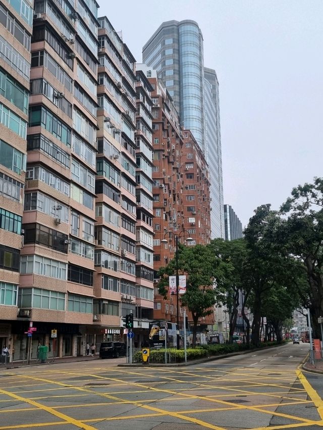 홍콩 2층버스와 사진을! : 성완(Sheung Wan)🇭🇰