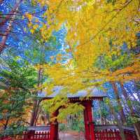 薦神社（大貞八幡宮）