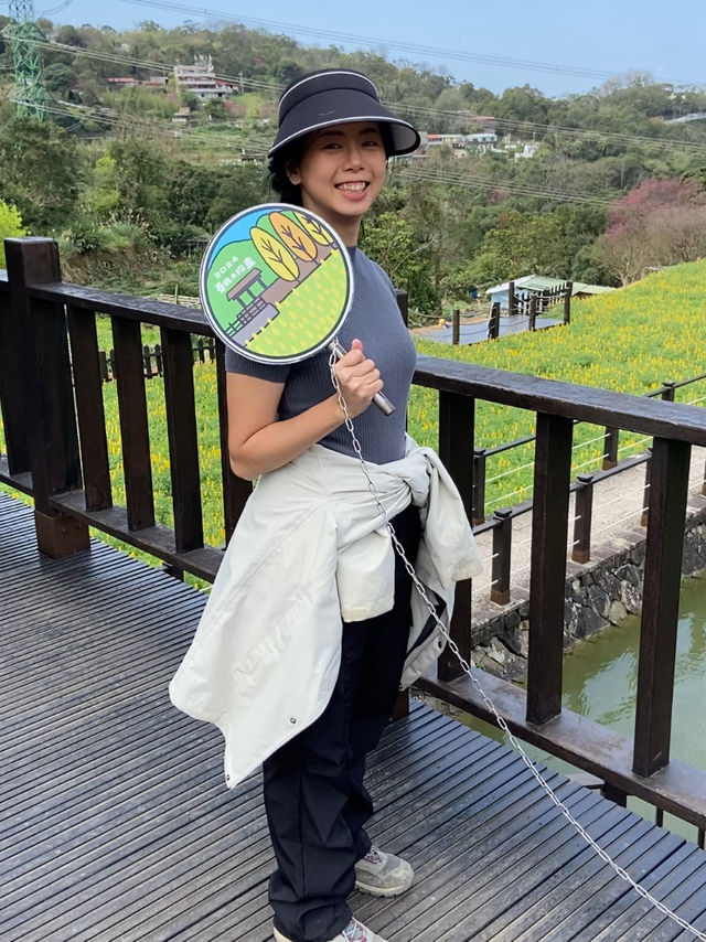 台北縱走第七段-櫻花山林茶鄉漫遊路線