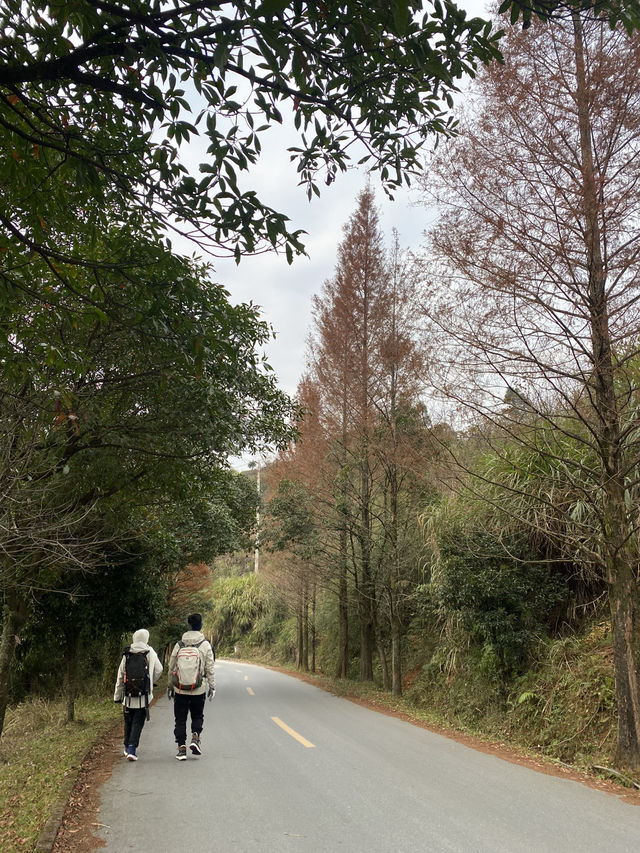 念念不忘武功山，念念不忘江西情最真實感受