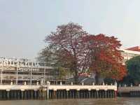 นั่งเรือด่วนเจ้าพระยาเที่ยวฝั่งธน