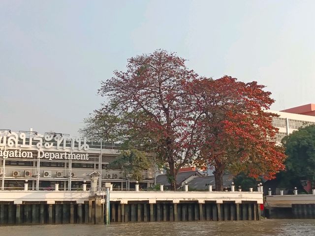 นั่งเรือด่วนเจ้าพระยาเที่ยวฝั่งธน