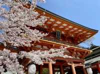 【兵庫県】生田神社の奥にある森