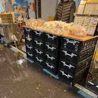 【台湾】雙連朝市でホクホクの朝ごはんを味わう