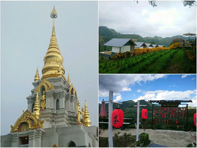 ทริป 1 วัน เชียงราย-ท่าตอน