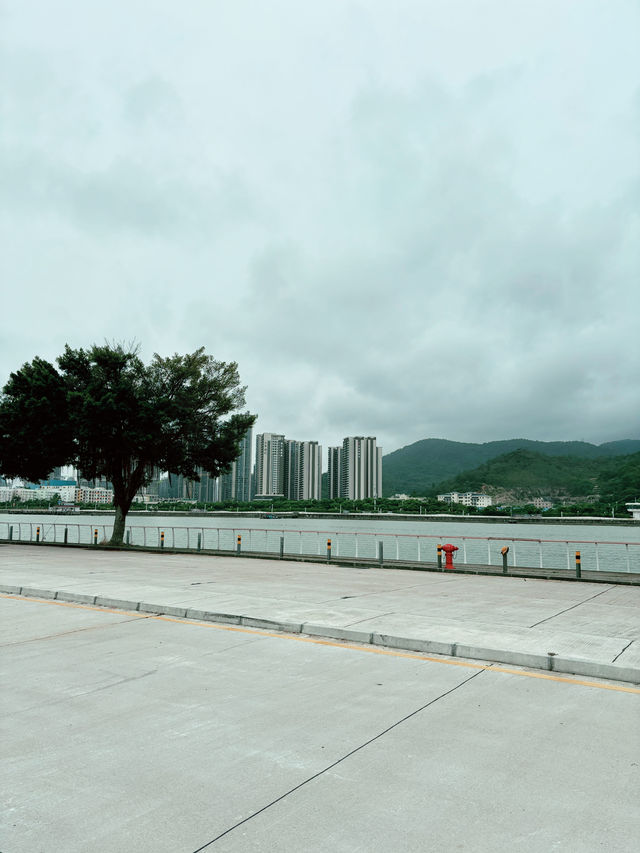 Ferry from Hong Kong to Macau