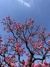 Explore Kyushu!
