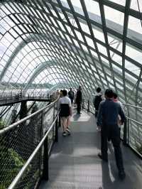 Gardens by the Bay, a must-visit attraction in Singapore!
