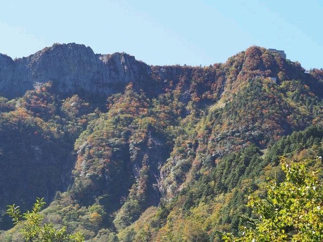 石鎚もみじ祭り