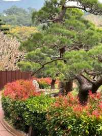 Nan Lian Garden