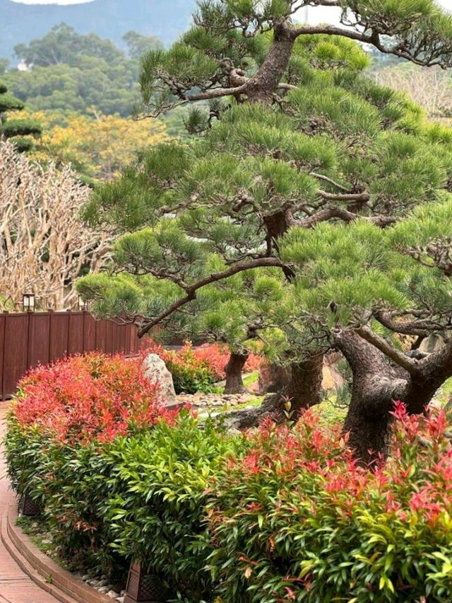 Nan Lian Garden