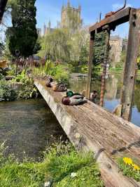 The Bishop's Palace & Gardens