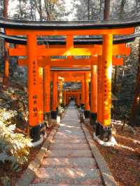 Fushimi Inari "The Thousand Gates"