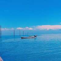 海に浮かぶ幻想的な鳥居⛩️🌊 干潮時には歩いて渡れる！