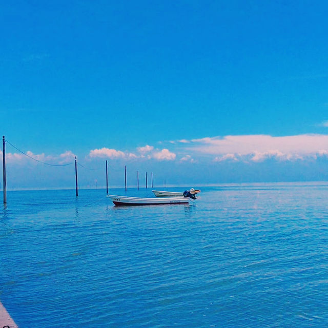 海に浮かぶ幻想的な鳥居⛩️🌊 干潮時には歩いて渡れる！