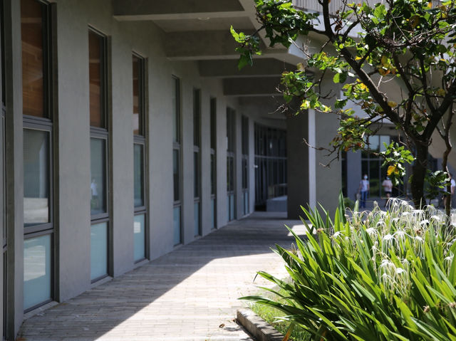 探索台東大學 綠建築之美 🤩🌿知識與自然的完美結合