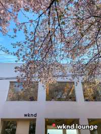 Best Spring Cafés Outside of Seoul in Korea 🌸