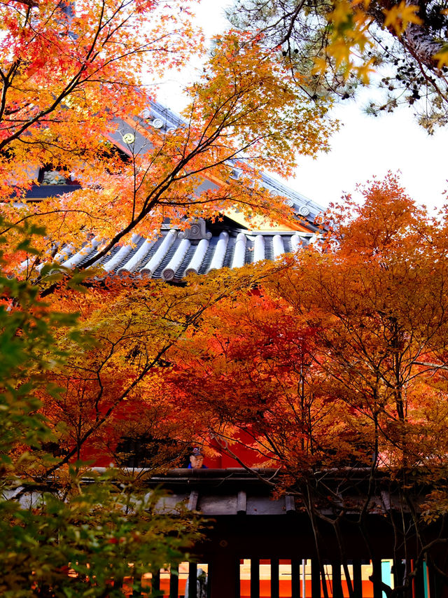 Kyoto - Bishamon-do temple