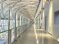 ท่าอากาศยานนานาชาติคันไซ