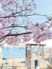 【熱海】日本三大古湯・伊豆山温泉走り湯
