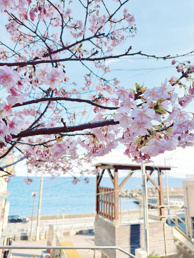 【熱海】日本三大古湯・伊豆山温泉走り湯