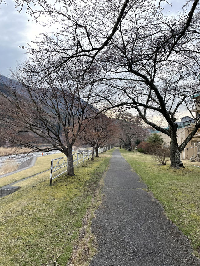 【栃木×春の那須旅】 オールインクルーシブ 滝見ラウンジでゆったり・・