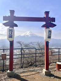  **眺望壯麗富士山！🚠搭天上山纜車，感受河口湖美景** 