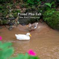 Proud Phu Fah Mae Rim Chiang mai  
