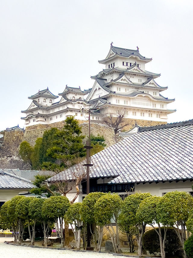 【兵庫／姫路】国宝、姫路城！