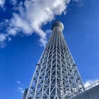 東京晴空塔～淺草一日遊