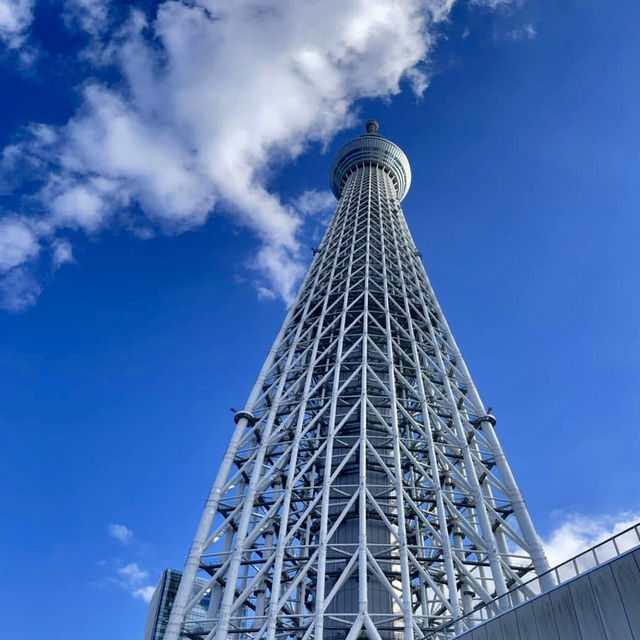 東京晴空塔～淺草一日遊