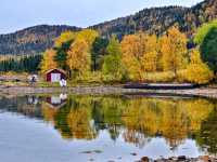 A Scenic Journey from Tromsø to Senja: A Ferry and Road Adventure