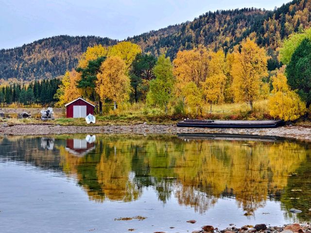 A Scenic Journey from Tromsø to Senja: A Ferry and Road Adventure