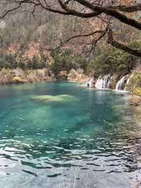 Enchanting Beauty of Jiuzhai Valley:where nature meets tranquility 
