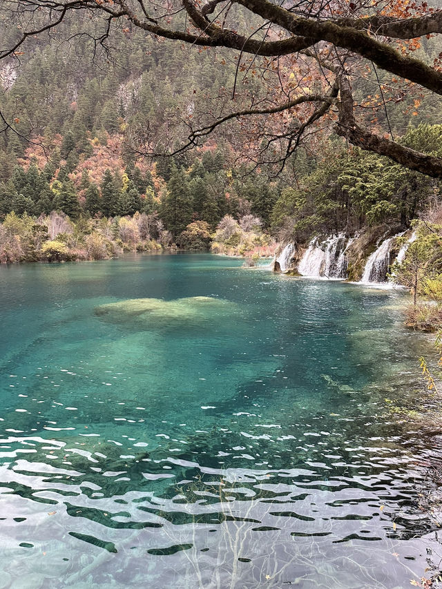 Enchanting Beauty of Jiuzhai Valley:where nature meets tranquility 