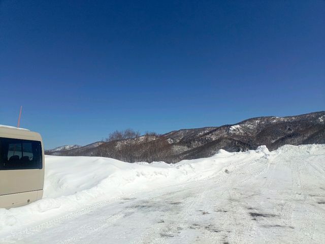 Ski with amazing view @Nagano Shiga Kogen