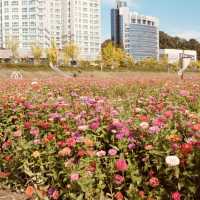 Spring's Active Path: Expo Bridge Cycling Adventure