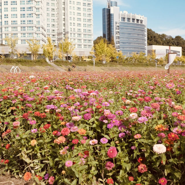 Spring's Active Path: Expo Bridge Cycling Adventure