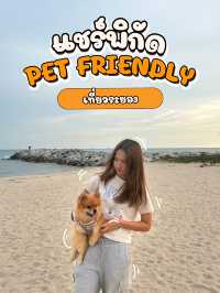 แชร์พิกัดเที่ยวกับน้องหมา🐶/pet friendly