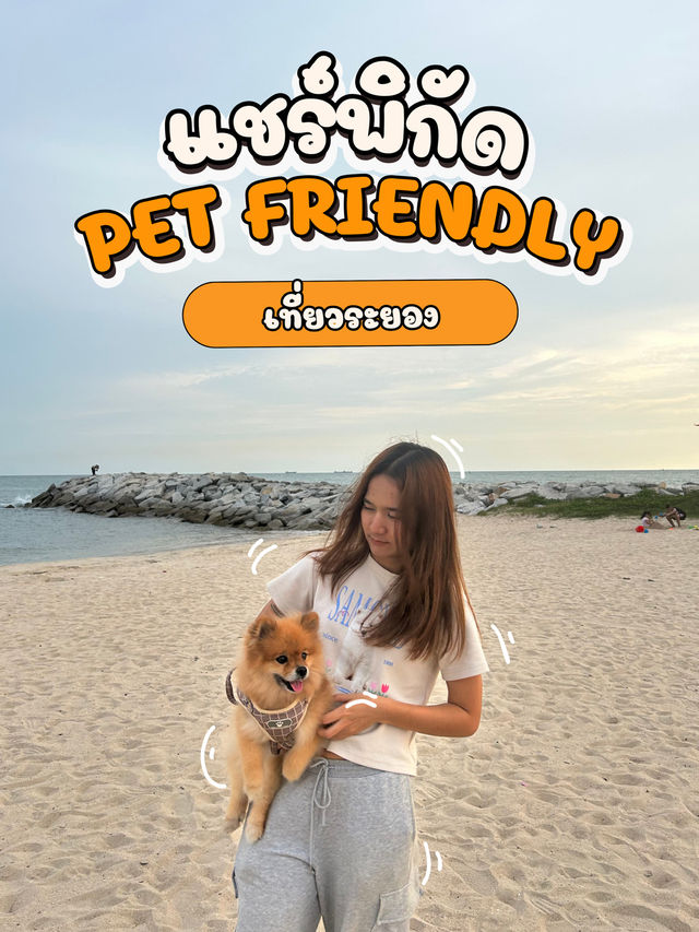 แชร์พิกัดเที่ยวกับน้องหมา🐶/pet friendly