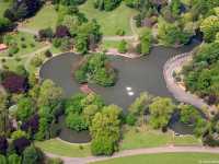 Abbey Park: A hiidden natural gem in Leicester!