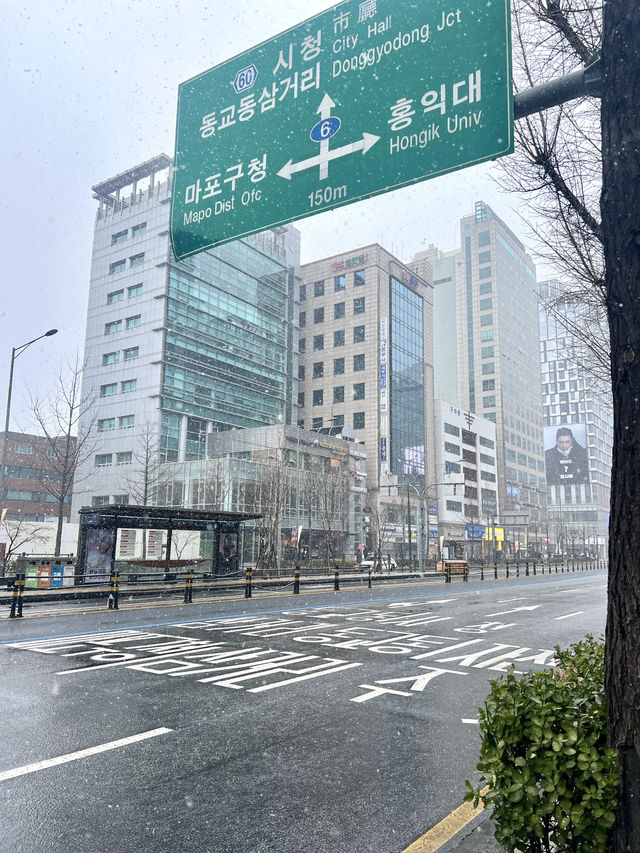 Snowy but all fun in Seoul 