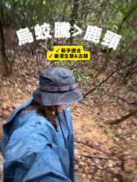 合家歡行山路線！新手適合多補給🙂