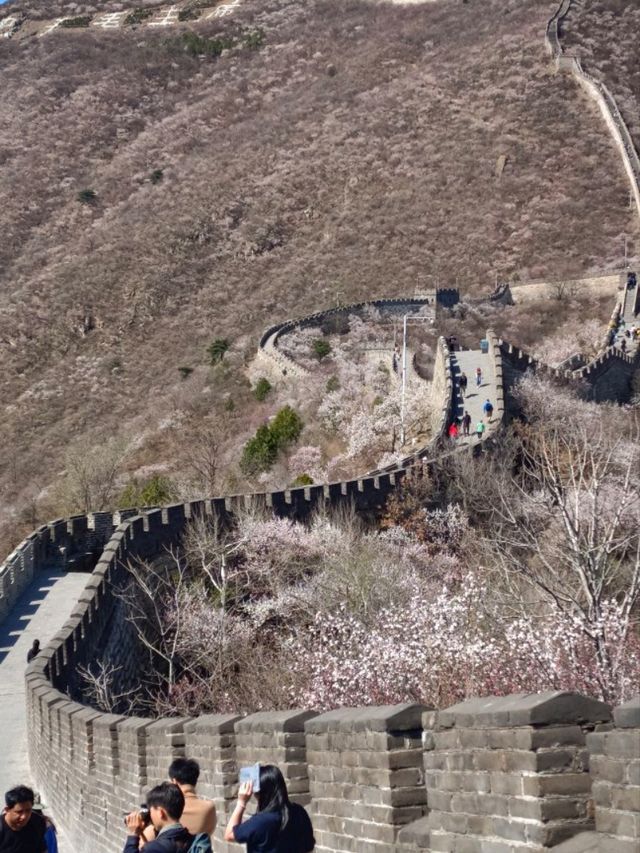 Mutianyu Greatwall worth to visit? 