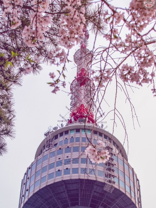 NAMSAN TOWER |  N. SEOUL TOWER  |  남산서울타워